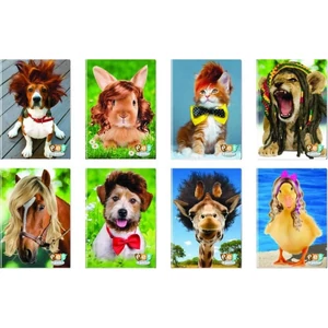 Füzet A4 Blasetti kockás Pet a Porter 80g 42lapos 6325 5M