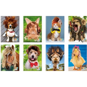 Füzet A4 Blasetti Pet aPorter 80g 42lapos vonalas 6328 1RC