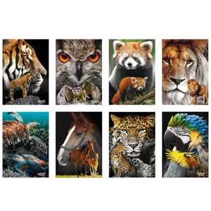Füzet A4 Blasetti vonalas 80g 42 lapos Animals 8291