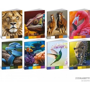 Füzet A4 Blasetti vonalas 80g 42 lapos Animal Planette 8950