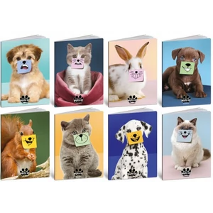 Füzet A4 Blasetti vonalas PETS-IT 42 lap 8931