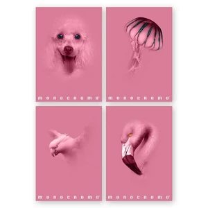 Füzet A/4 Pigna Monocromo Pink 50 lapos vonalas