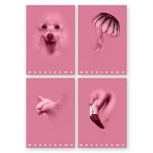 Füzet A/4 Pigna Monocromo pink kockás 38 Lapos 02330125M