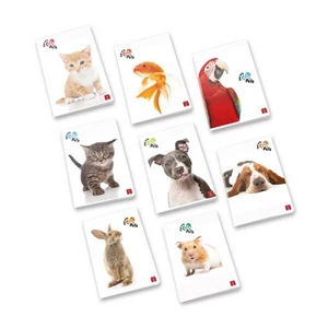 Füzet A/4 Pigna Play with Pets 50 lapos vonalas