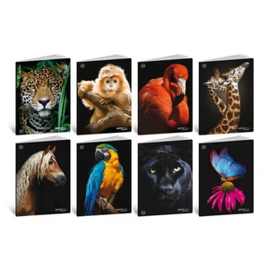 Füzet A4 vonalas Blasetti 100g 38lap ANIMAL BLACK100 8632/1R  [8007758100466]
