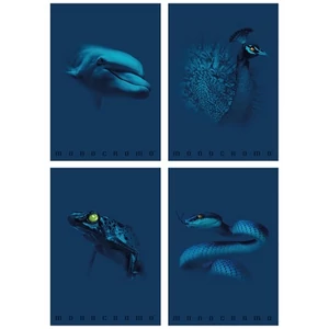 Füzet A4 vonalas Pigna Monocromo Blue 38 lapos vegyes minták