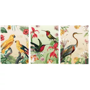 Füzet A4 vonalas Shkolyaryk 81-32 40lap Luxe Nature vegyes 81-32