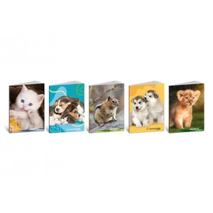 Füzet A5 Blasetti kockás 80g 42 lapos Color/Cuccioli 8444