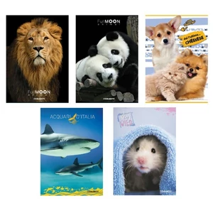 Füzet A5 Blasetti kockás 80g 42 lapos Animal 7299/B