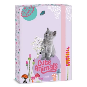 Füzetbox A4 Ars Una 24' Cute Animals-kitten(5368) cica 50853687