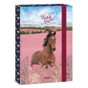 Füzetbox A4 Ars Una 24' Wild and Free (5359) Ló 50853595