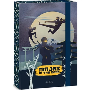 Ars Una A4 Füzetbox 25' Ninjas in the dark 50854578 prémium minőség