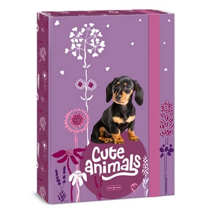 Füzetbox A4 Ars Una Cute Animals puppy(5369) 24 TACSKÓ 50853694 prémium