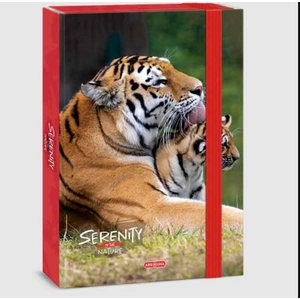 Füzetbox A4 Ars Una Serenity-tiger (5332) 23 50853328 prémium