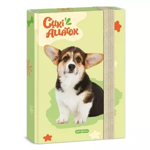 Füzetbox A5 Ars Una 24' Cuki-Welsh Corgi (5432) Prémium minőség