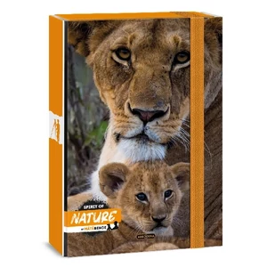 Füzetbox A5 Ars Una 24' Máté Bence-Lion (5433) 50864331