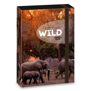 Füzetbox A5 Ars Una The Eyes Of The Wild - Elephant (5217) 2 50862177 prémium