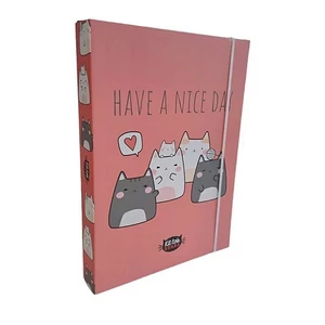 Füzetbox HK A/4 KitTok, Catto 