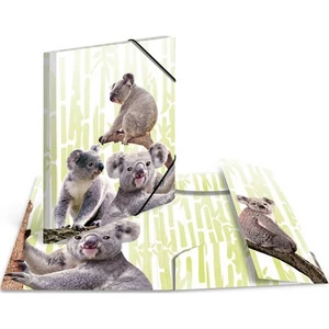 Gumis mappa A/3 PP Herma, Koalák Iratrendezés, archiválás