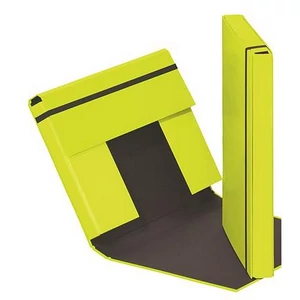 Gumis mappa A4 40mm karton PAGNA Trend lime zöld