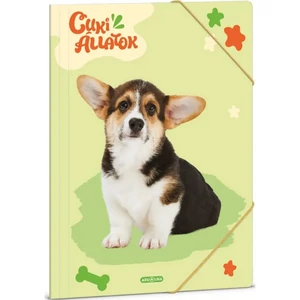 Gumis mappa A4 Ars Una 24' Cuki-Welsh Corgi (5432) 50214327