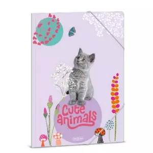 Gumis mappa A4 Ars una 24' Cute Animals-kitten (5368) cica 50213689