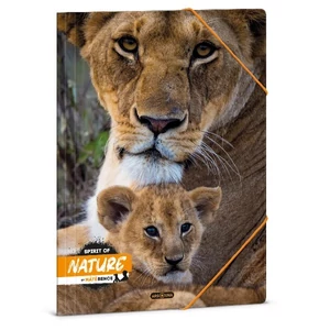 Gumis mappa A4 Ars Una 24' Máté Bence-Lion (5433) 50214334
