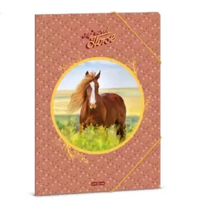 Gumis mappa A4 Ars una 24' My Sweet Horse (5358) ló 50213580