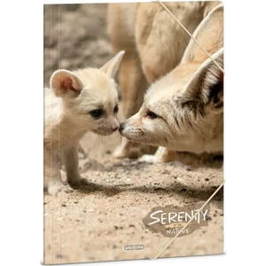 Gumis mappa A4 Ars Una 24' Serenity-desert fox (5442) 50214426