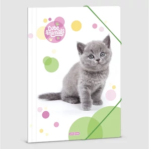 Gumis mappa A4 Ars Una Cuki-Brit rövid szörű macska (5305) 23 50213054 prémium