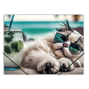 Gumis mappa A4 Panta Plast 15mm, PP, Chillout cat INP0410006454