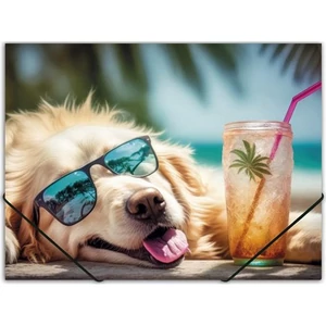 Gumis mappa A4 Panta Plast 15mm, PP, Chillout dog INP0410006453