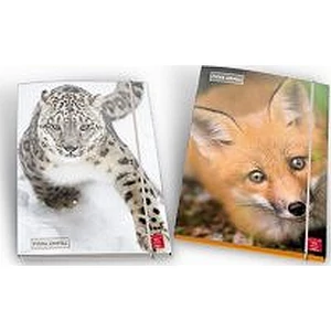 Gumis mappa A/4 Pigna Animal karton , 1cm-es gerinccel 02320823L/02326323L