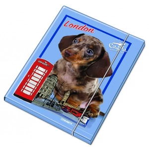 Gumis mappa BRUNNEN  A/4  PP   Ninja  024    1041604