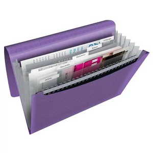 Harmónikamappa A4 Esselte PP, 6 rekeszes,Colour`Breeze, levendula E628448