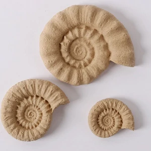 Hőre lágyuló fa Kagyló szett 6,5 x 5,5 cm 3 db
