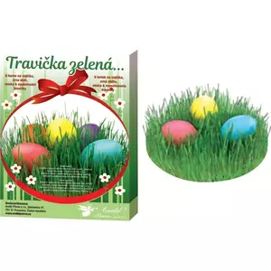 Húsvéti tojás dekoráló készlet zöld gyeppel