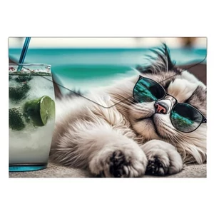 Irattartó tasak A4 Panta Plast PP, patentos 180 mikron Chillout cat INP0410006254