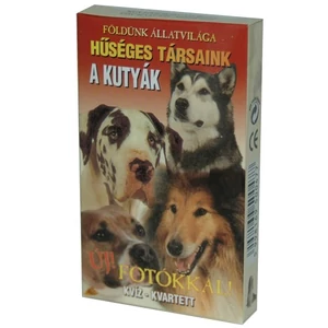 Kártya A kutyák hűséges társaink új fotókkal