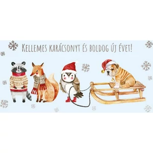 Képeslap borítékos LA4 borítékos zsebes zsebes képeslap pénznek