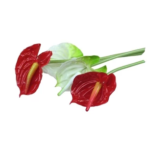 Selyemvirág - művirág anthurium 2 színű