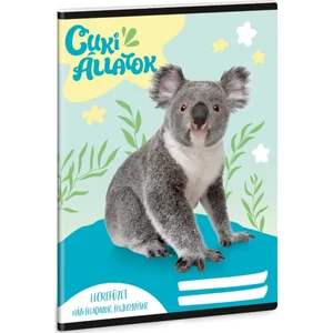 Leckefüzet A5 Ars Una 24'' CUKI-KOALA (5428) 50844289 50844289 38lapos 1leckefüzet 1tanévre el