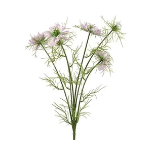 Selyemvirág művirág pillangó Cosmos bipinnatus Jalisha purple 66cm kerti pillangó virág Holland SDDST5