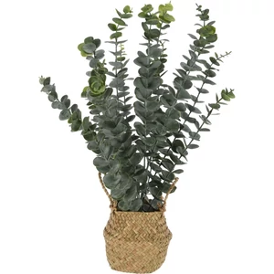 Selyemvirág művirág '23 eucalyptus kosárban kpm