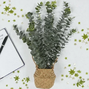 Selyemvirág művirág '23 eucalyptus kosárban kpm