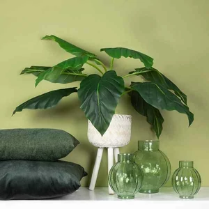 Selyemvirág - művirág Strelitzia S green Strelitzia S zöld papagályvirág Holland SDDST53