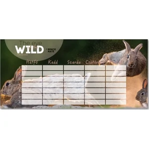 Órarend Ars Una egylapos The Eyes Of The Wild-2 (5113) 21 Öntapadós füzetcímke 3ívx6db