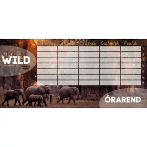 Órarend Ars Una egylapos The Eyes Of The Wild (5100) 21 Öntapadós füzetcímke 3ívx6db
