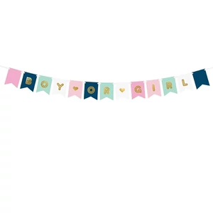 Party banner Boy or Girl, 15x175cm