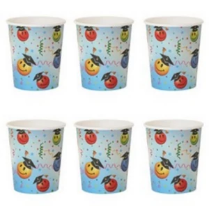 Party pohár ballagásra 250ml Mosolygó arcok, 6db/csomag 